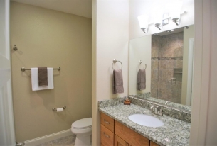 Davies - Lower Level Bathroom